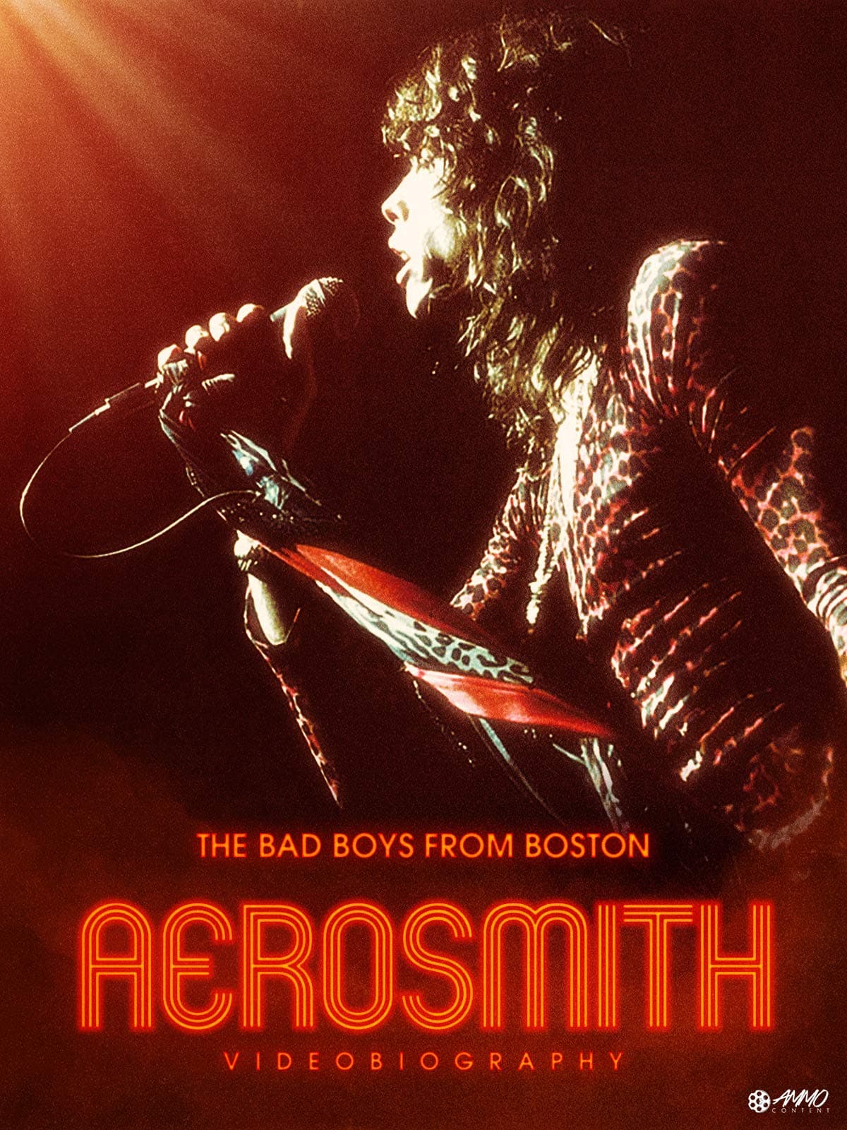 Aerosmith: Videobiography