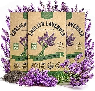3-Pack English Lavender Seeds 7.50G - Over 6600 Non-GMO Heirloom Lavender Seeds for Planting in Individual Seed Packets, Herb Seeds for Planting Home Garden Indoor & Outdoor Gardening