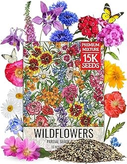 Seed Needs Partial Shade Wildflower Seed Mix for Planting | 1 Ounce 14+ Varieties Open Pollinated Annual & Perennial Species | Flower Seeds Shade Tolerant | Bulk