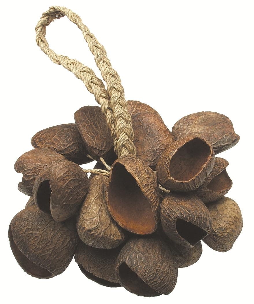 Seed Shell Shaker T-SS, Brown