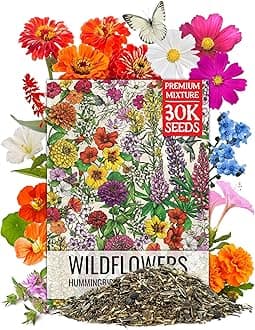Seed Needs Wildflower Seeds Butterfly and Hummingbird Seed Mix 2 Ounce No Filler | 23 Varieties Annual & Perennial Species Such as Butterfly Milkweed, Cosmos & Zinnia | Resealable Bulk Package
