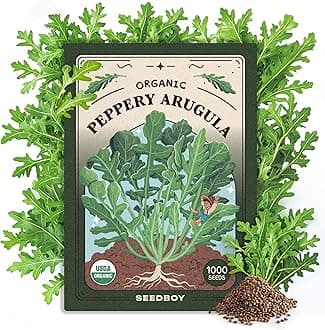 Seedboy Organic Arugula 'Slow Bolt' Seeds for Planting Indoor and Outdoor, Non-GMO and USDA Certified Herb Seed Packet for Hydroponic Garden Indoor or Planting Outdoors (Slow Bolt Arugula)