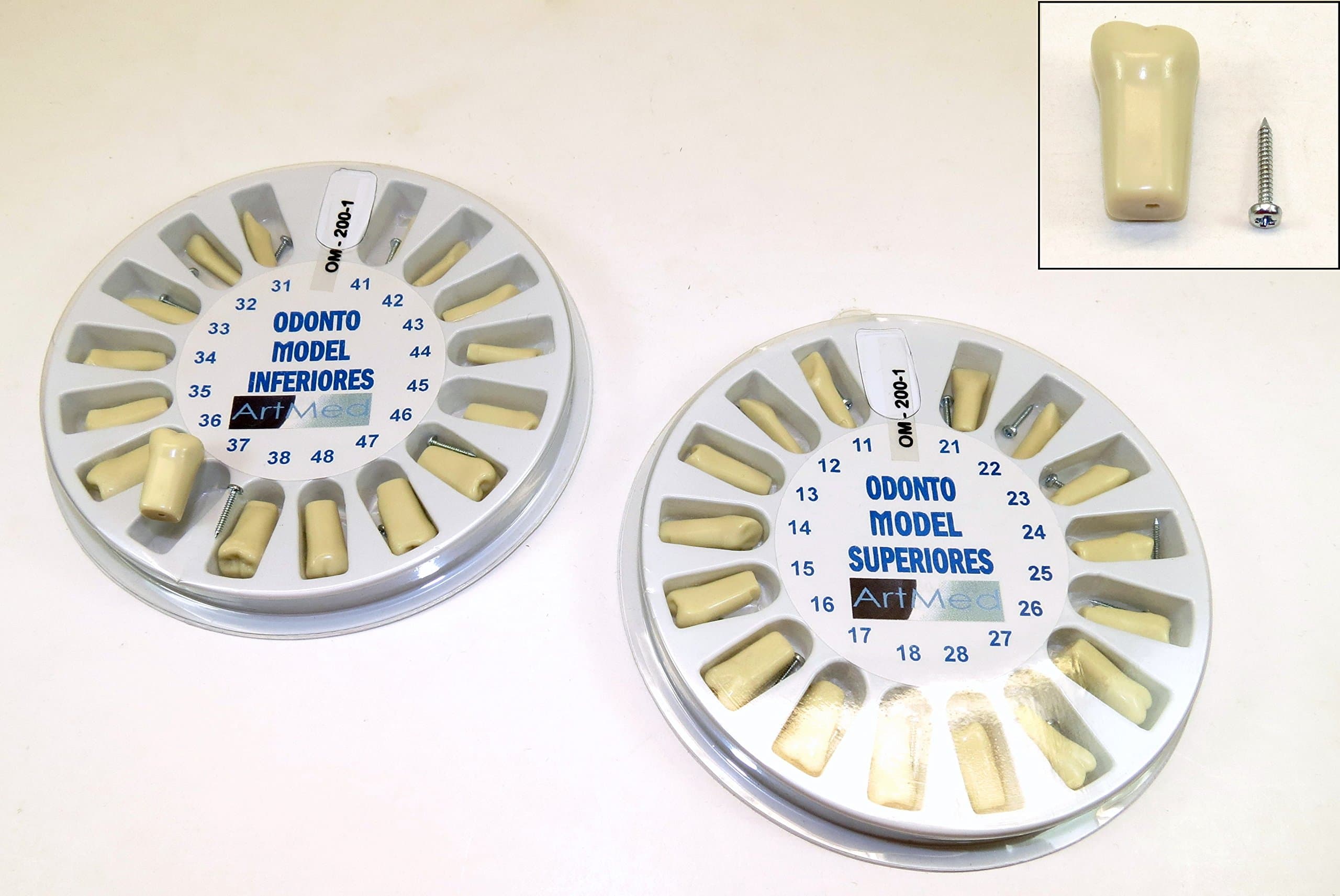 Replacement Typodont Teeth Ivorine Model 200 Upper Lower Complete Kit ARTMED
