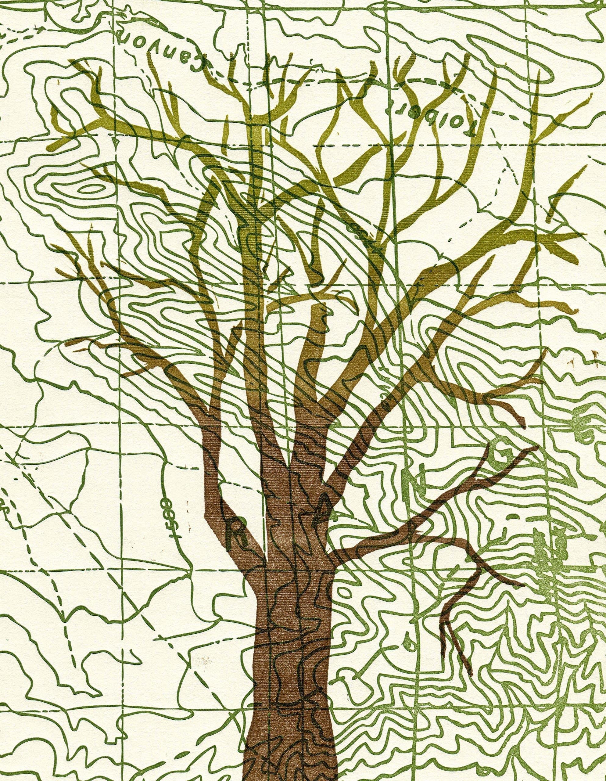Topographic Map with Tree Letterpress Print