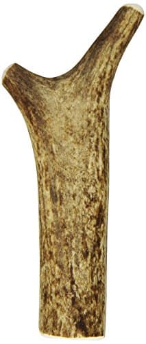 Newts Chews Antler, Small
