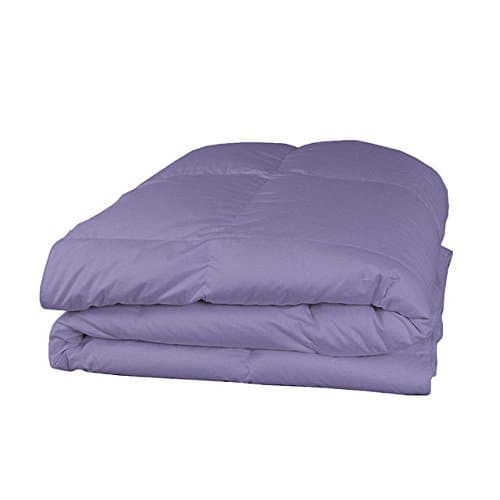 Solid Pattern 100% Egyptian Cotton 300 TC 1 Piece Comforter 200 GSM All Size & Color (Full / Queen , Lilac, Solid )