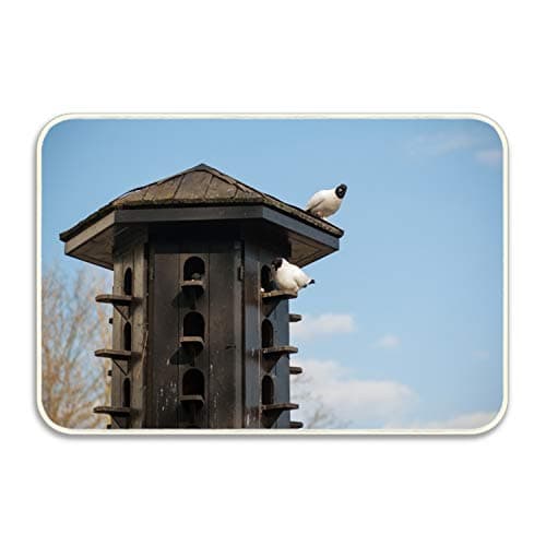 Dick Sidney Dove House Rectangular Doormat Funny Easily Fold Memory Foam Floor Mats for Home