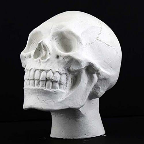 Plaster Case Mini Skull