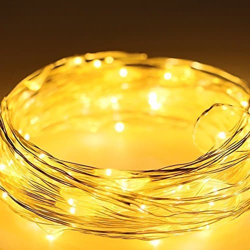 KCRIUS(TM) 33Ft Warm White Silver Coating Copper Wire LED Starry Lights with 100 Individual Leds For Home Garden Decoration, With 6V DC Adapter