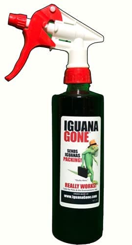 Iguana Gone 16 OZ