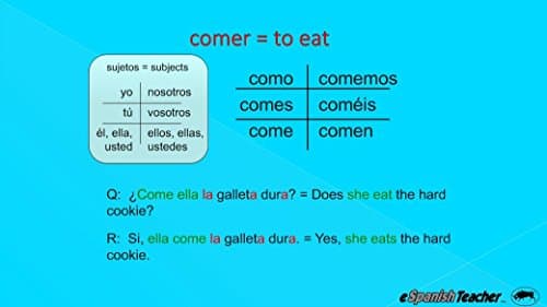 eSpanishTeacher's Beginner Spanish Language Course Software Lessons Version 3.0 with Bonus 101 Spanish Verbs