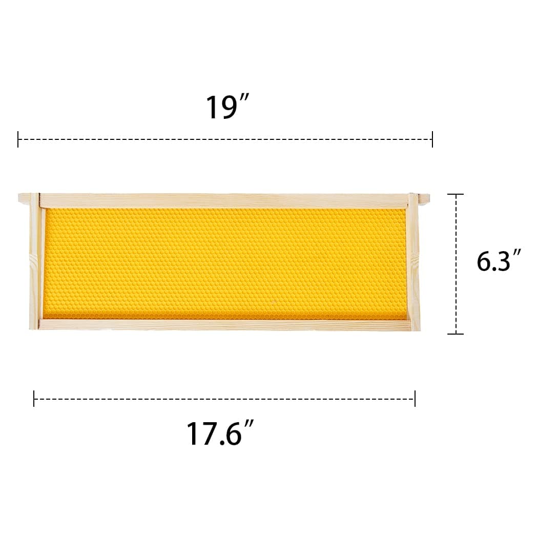 MayBee Medium Super Beehive Frames with Wax Foundations, 10 Pack Honey Bee Frames with 100% Beeswax Coated Food Grade Foundation Sheets, 6-1/4-Inch (Yellow)