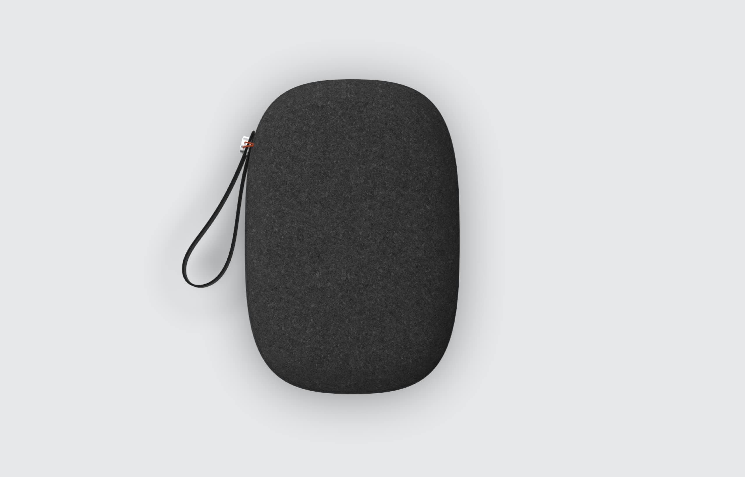 PICO 4 Carrying Case