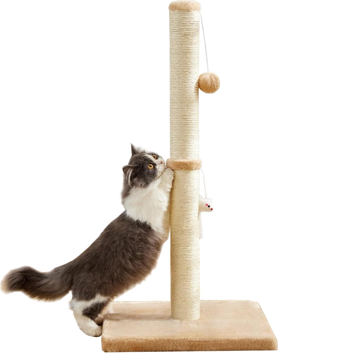 Cat Scratching Post for Indoor Cats