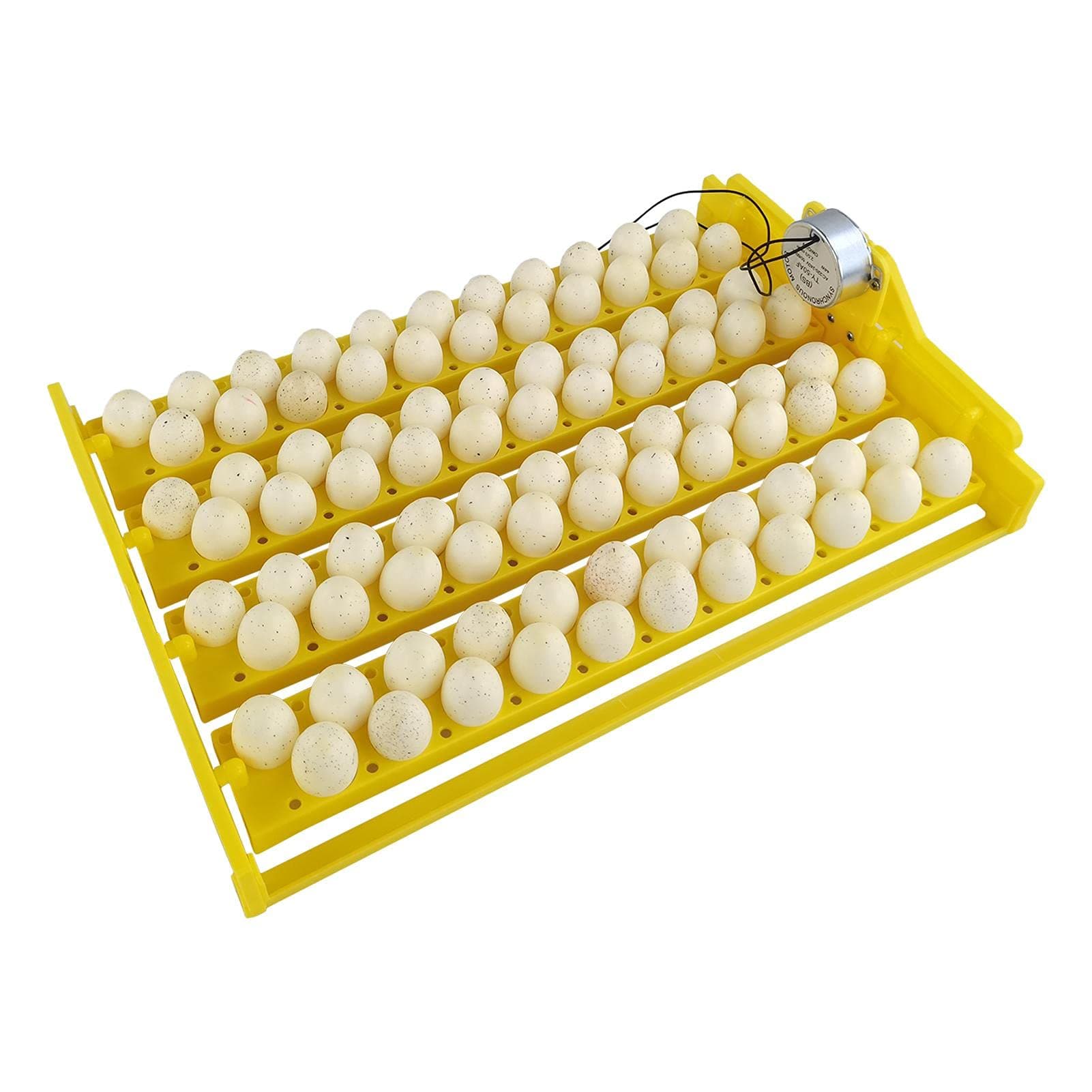 Eggs Incubator Trays - Automatic Egg Turner | Brooder Incubators for Hatching Eggs Egg Incubator Breeder for Chicken Quail Birds Quail To Duck Egg