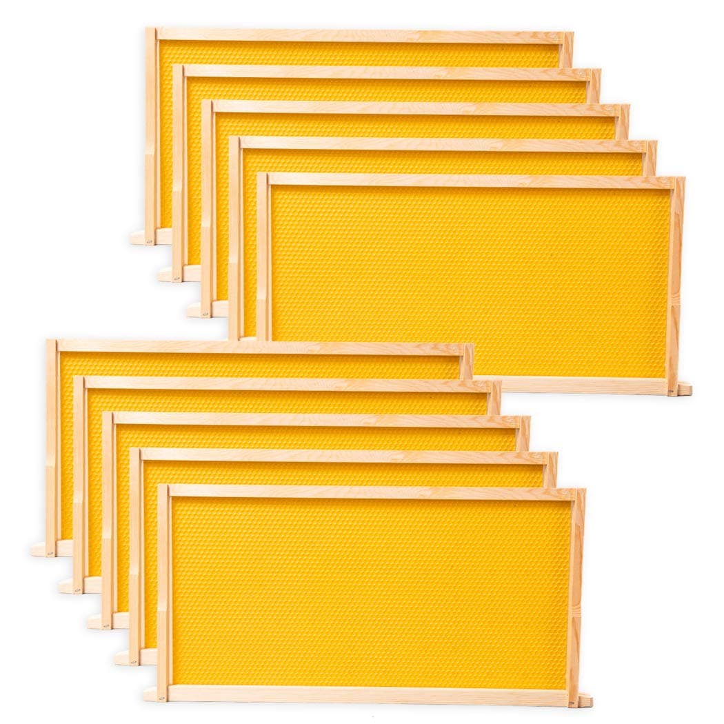 10 Pack Beehive Frames and Wax Foundations for Deep Brood Bee Hives with Honeycombs Wooden Bee Hive Frames and Beeswax Coated Foundations, 9-1/8-Inch (Yellow)