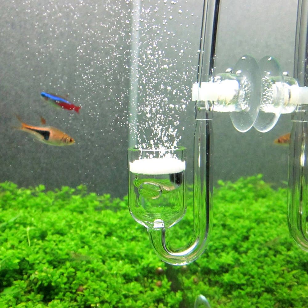 CO2 Diffuser Glass Reactor for Aquarium Planted Tank (CO2 Diffuser)