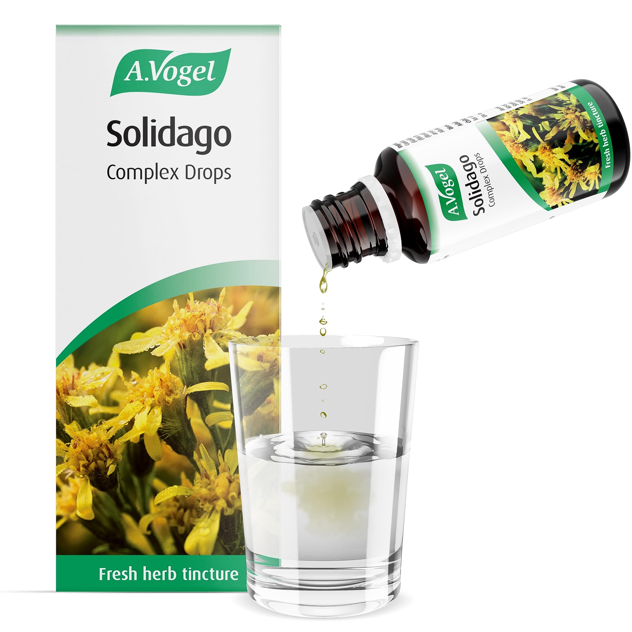 The Healthy Option Solidago Complex 50Ml