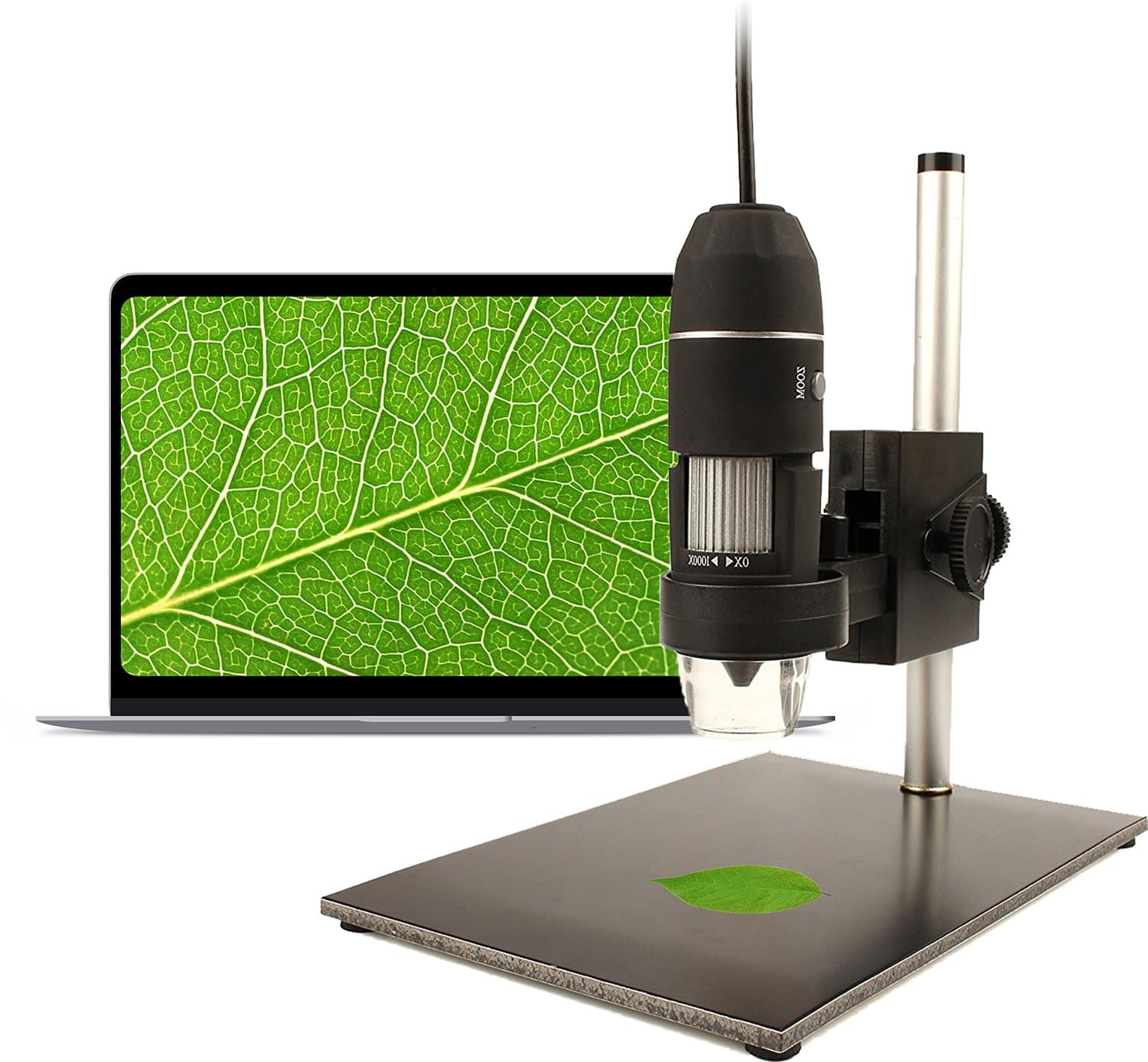 halomy USB Microscope 1000x Magnification Digital Microscope Endoscope with Built-in 8 LED and Adjustable Stand for Windows XP/Win 7/Win 8/Vista