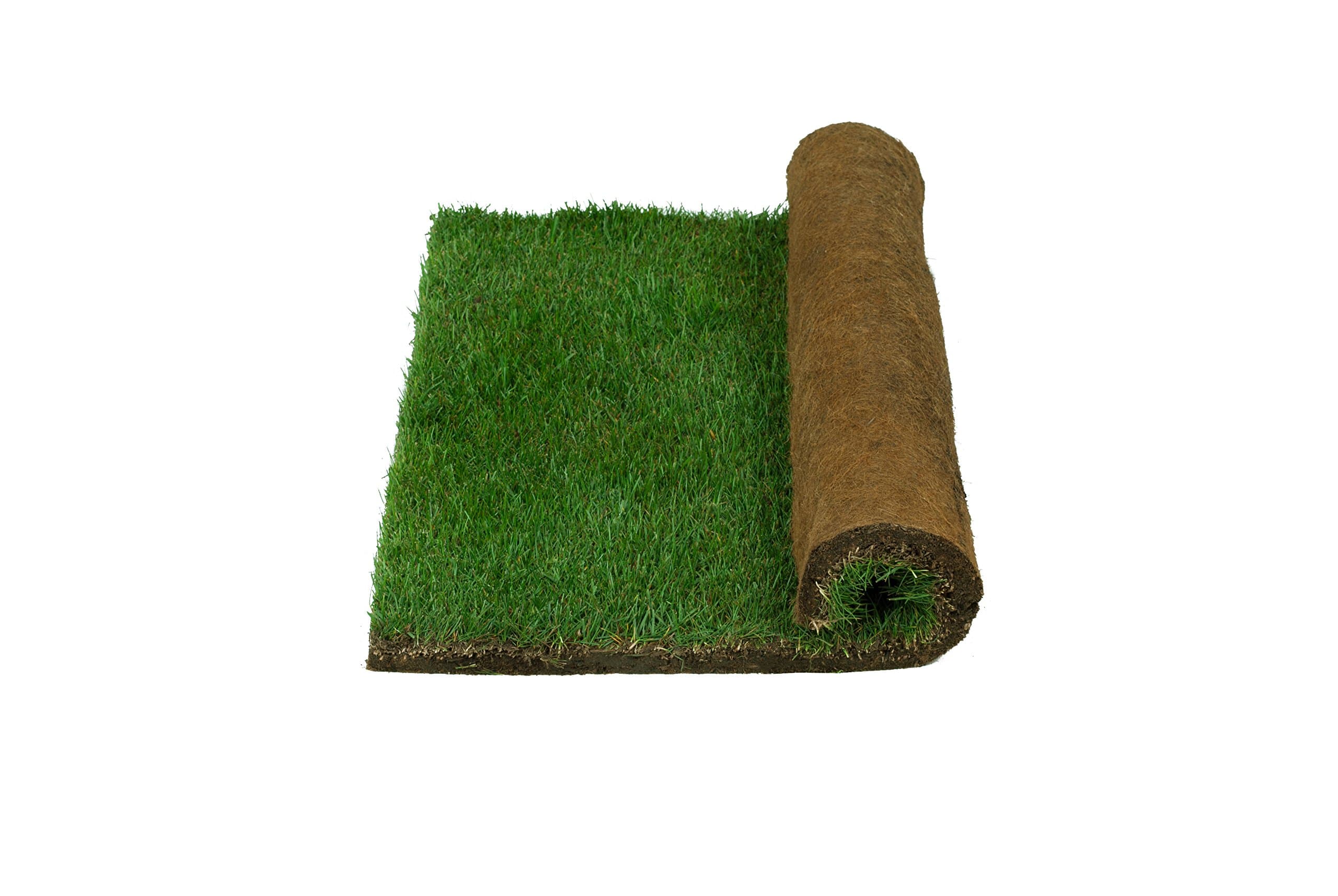 Real Grass Potty - Small