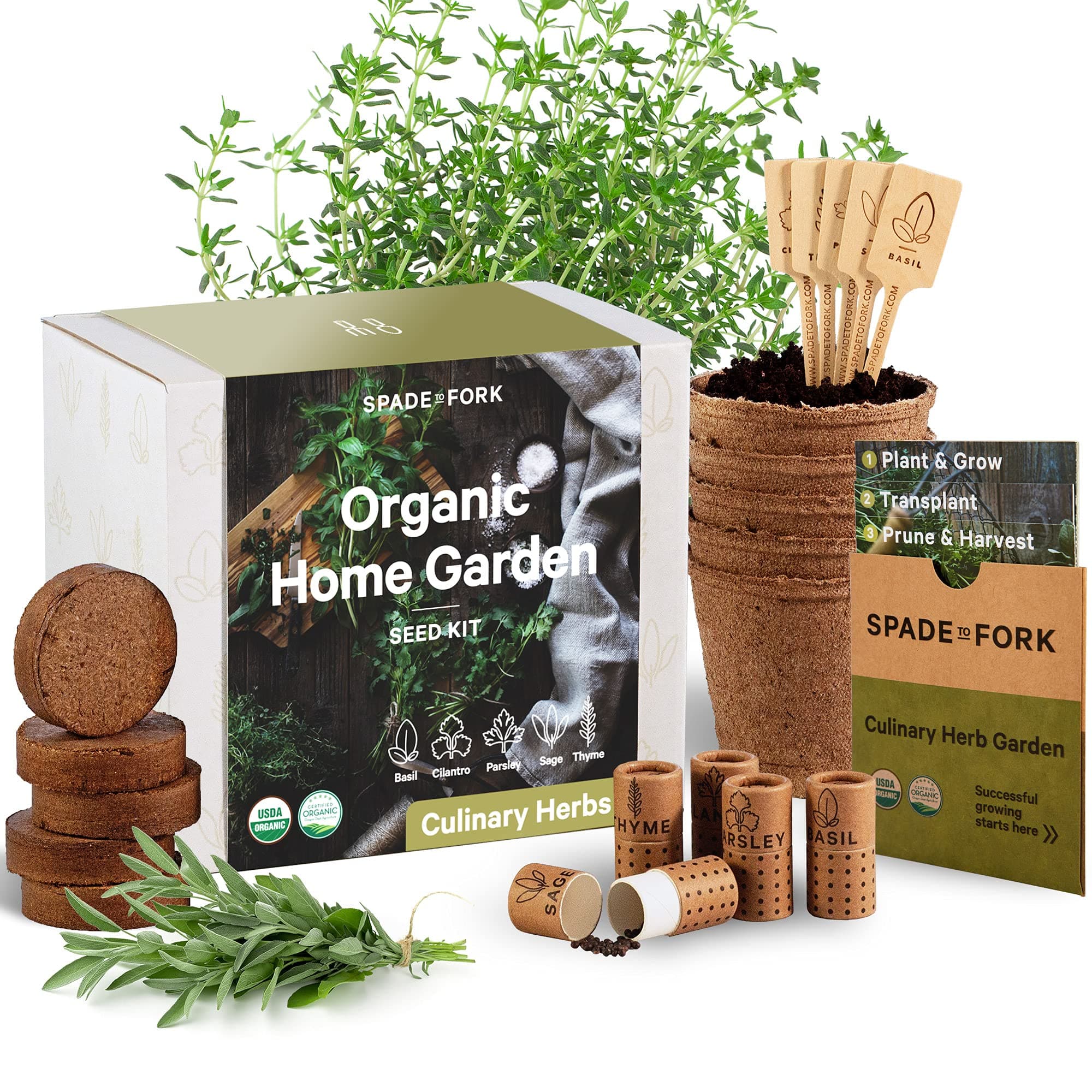 Organic Culinary Herbs Kit