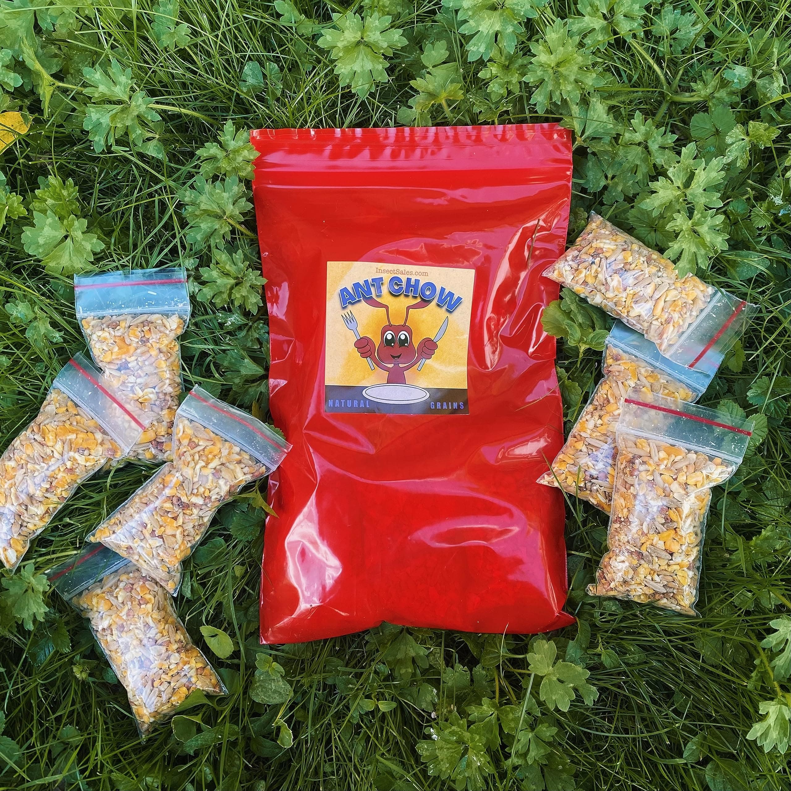 Ant Food (Crazy Stuff)